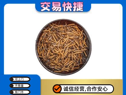 余庆县礼品回收虫草.jpg